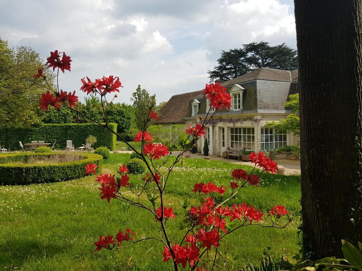 La Taille De Biou Bed & Breakfast Huisseau-sur-Cosson Luaran gambar