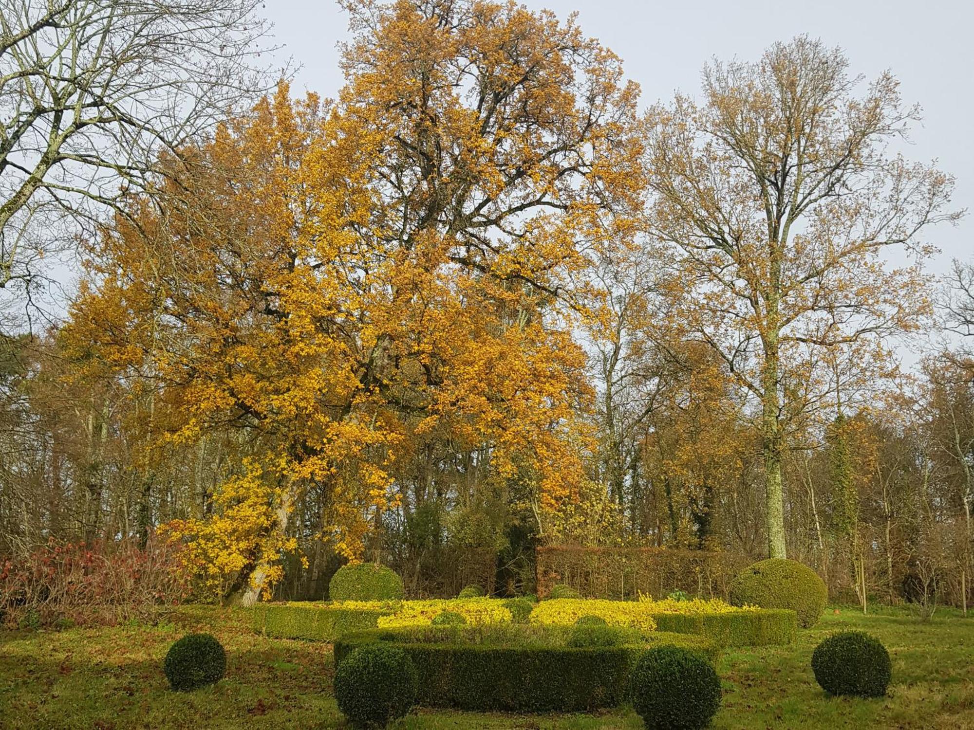 La Taille De Biou Bed & Breakfast Huisseau-sur-Cosson Luaran gambar